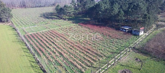 13300m² Land in Barreiros, Portugal No. 51026 17