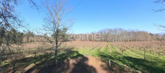 13300m² Land in Barreiros, Portugal No. 51026 13