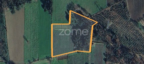 13300m² Land in Barreiros, Portugal No. 51026 19