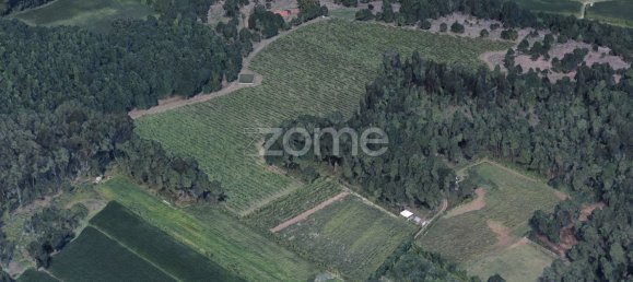 13300m² Land in Barreiros, Portugal No. 51026 20