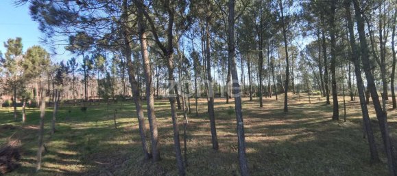 13300m² Land in Barreiros, Portugal No. 51026 9