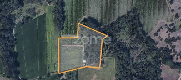 13300m² Land in Barreiros, Portugal No. 51026 21