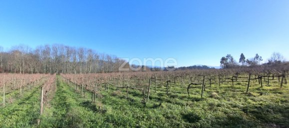 13300m² Land in Barreiros, Portugal No. 51026 15