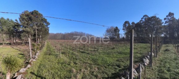 13300m² Land in Barreiros, Portugal No. 51026 4