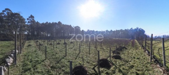 13300m² Land in Barreiros, Portugal No. 51026 3