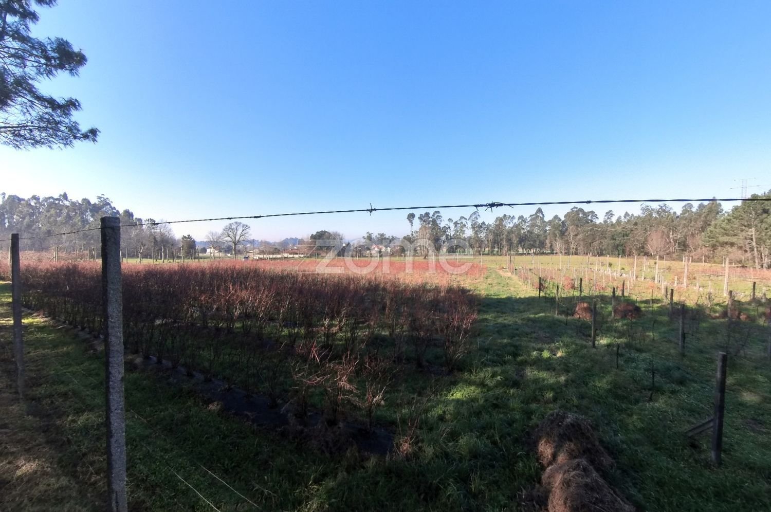 13300m² Land in Barreiros, Portugal No. 51026