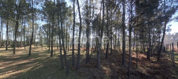 13300m² Land in Barreiros, Portugal No. 51026 10
