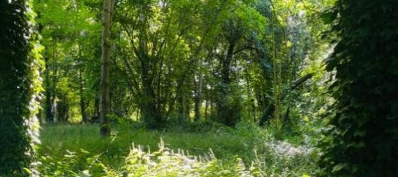 Castelos T5 em Marcilly-sur-Seine, France N.º 350738 13