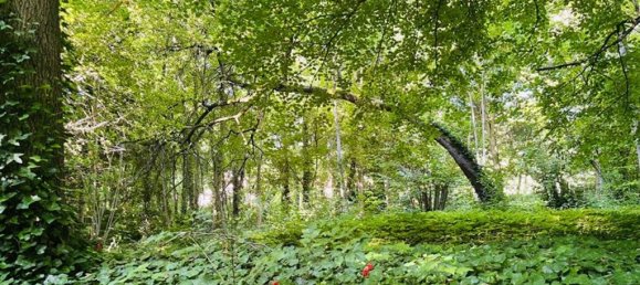 Castelos T5 em Marcilly-sur-Seine, France N.º 350738 14