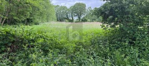 Grundstück in Pinneberg, Germany 10164m², Nr. 280604 4