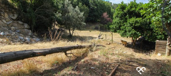 8600m² Land in Viseu, Portugal No. 67204 6