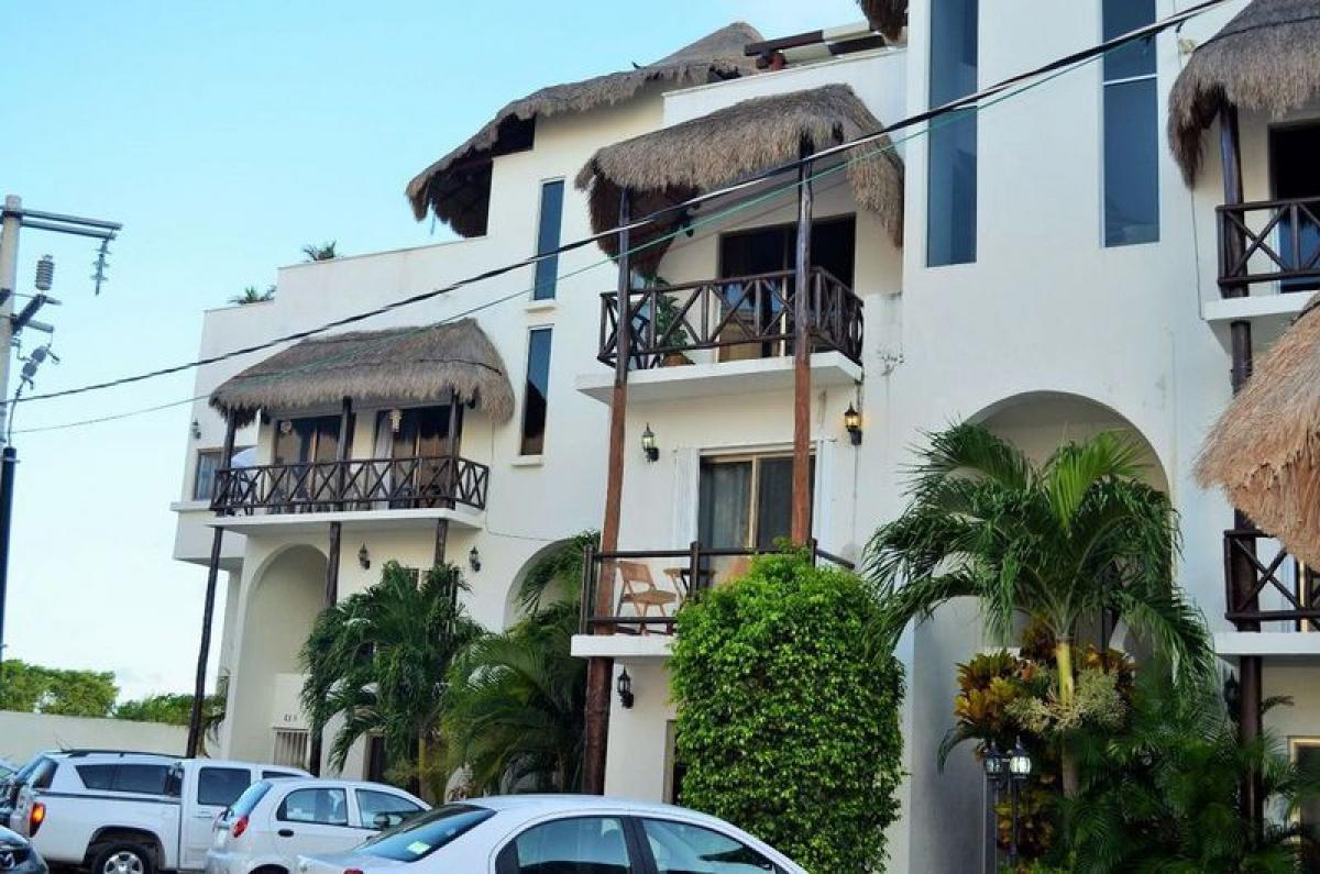 Estudio en Solidaridad, Mexico No. 153745