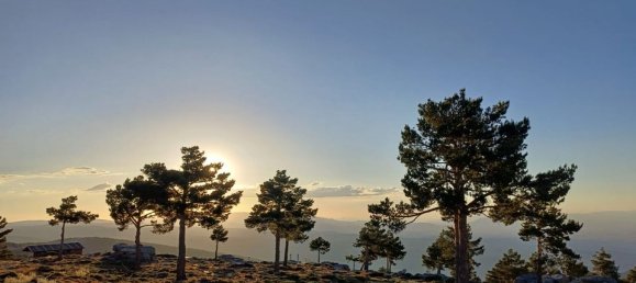 3 غرف نوم تاون هاوس في Algorfa, Spain رقم 170312 19