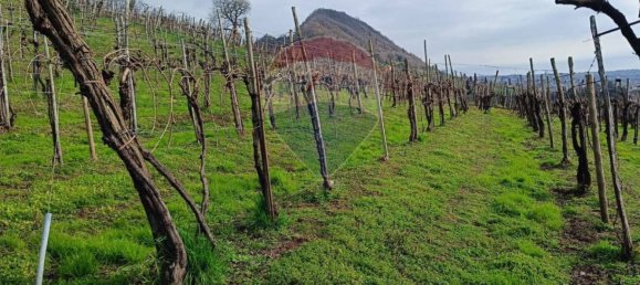 Земельный участок 5756м² в Фарра ди Солиго, Италия № 75916 13