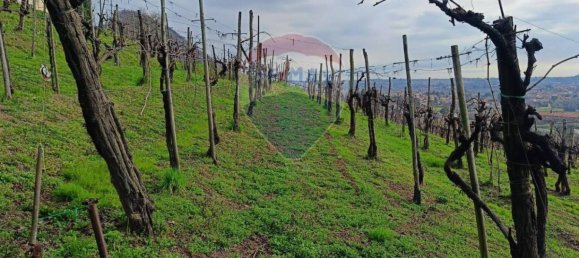 Земельный участок 5756м² в Фарра ди Солиго, Италия № 75916 10