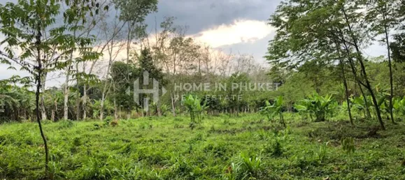 Terra em Mai Khao, Thailand N.º 60312 6