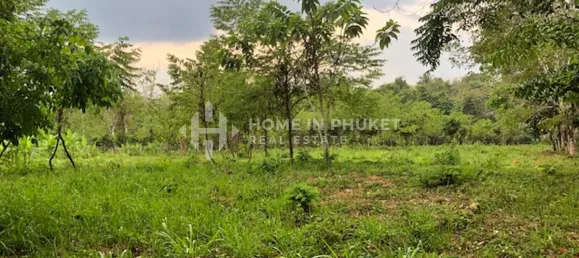 Terra em Mai Khao, Thailand N.º 60312 5