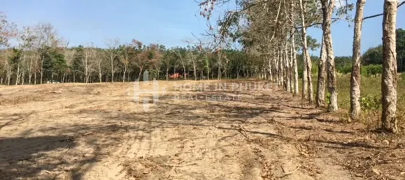 Terra em Mai Khao, Thailand N.º 60312 8