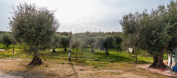 2 bedrooms House in Estremoz, Portugal No. 22499 23