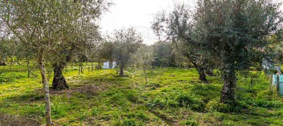 2 bedrooms House in Estremoz, Portugal No. 22499 24