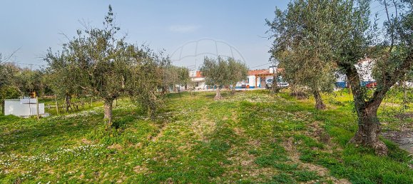 2 bedrooms House in Estremoz, Portugal No. 22499 27