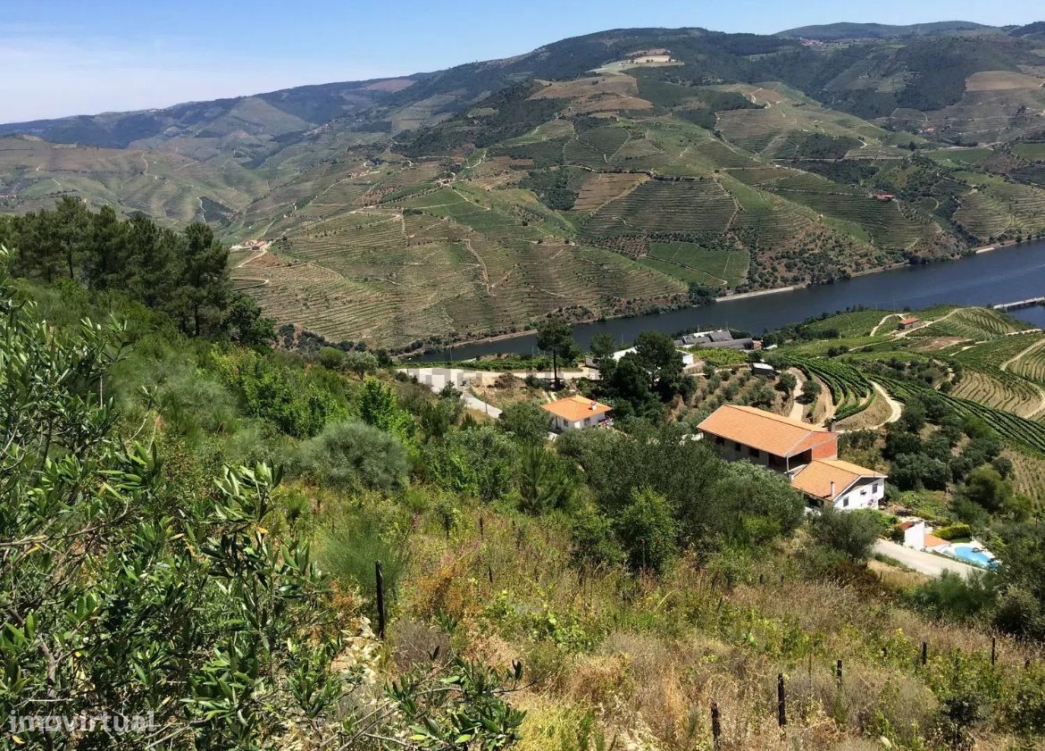 5850m² Land in Armamar, Portugal No. 295780