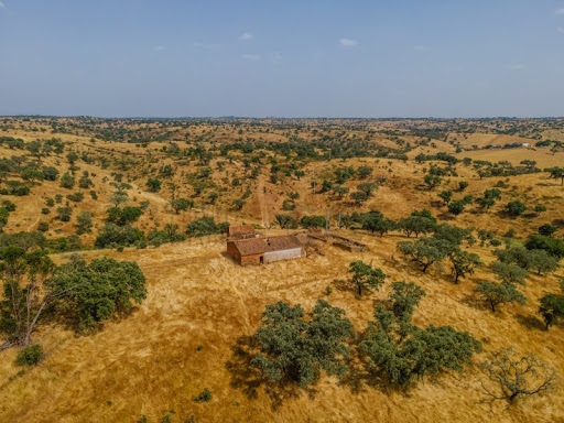 6 chambres Maison à Serpa, Portugal No. 343833