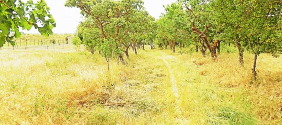 Gebäude in Guadalajara, Spain 1200m², Nr. 73855 31