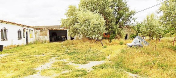 Gebäude in Guadalajara, Spain 1200m², Nr. 73855 30