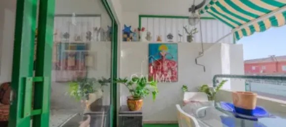 Apartamento T1 em San Bartolome De Tirajana, Spain N.º 170124 14