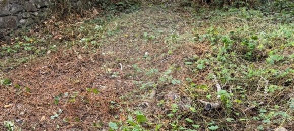 Casa T9 em Crato, Portugal N.º 24066 35