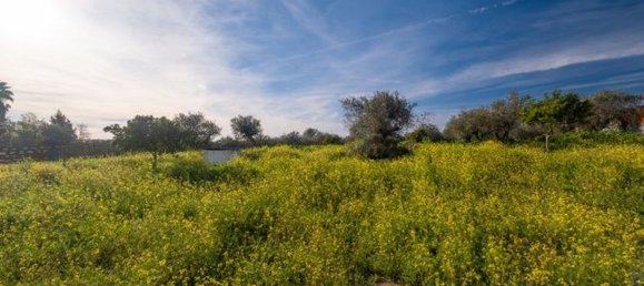 3 bedrooms House in Reguengos de Monsaraz, Portugal No. 24900 33