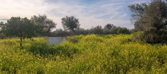 3 bedrooms House in Reguengos de Monsaraz, Portugal No. 24900 12