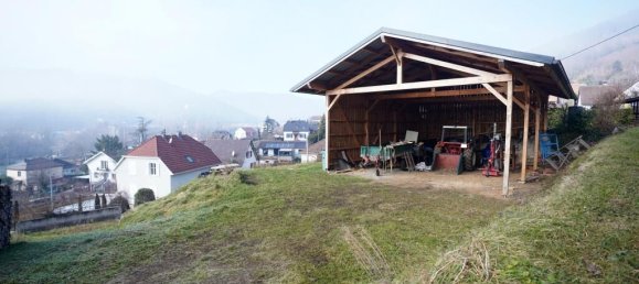 Terrain à Guebwiller, France 529m² No. 260070 6