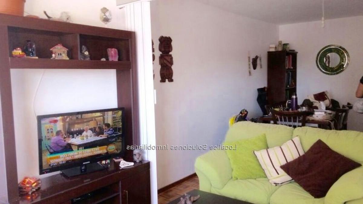 استوديو في Montevideo, Uruguay رقم 9760