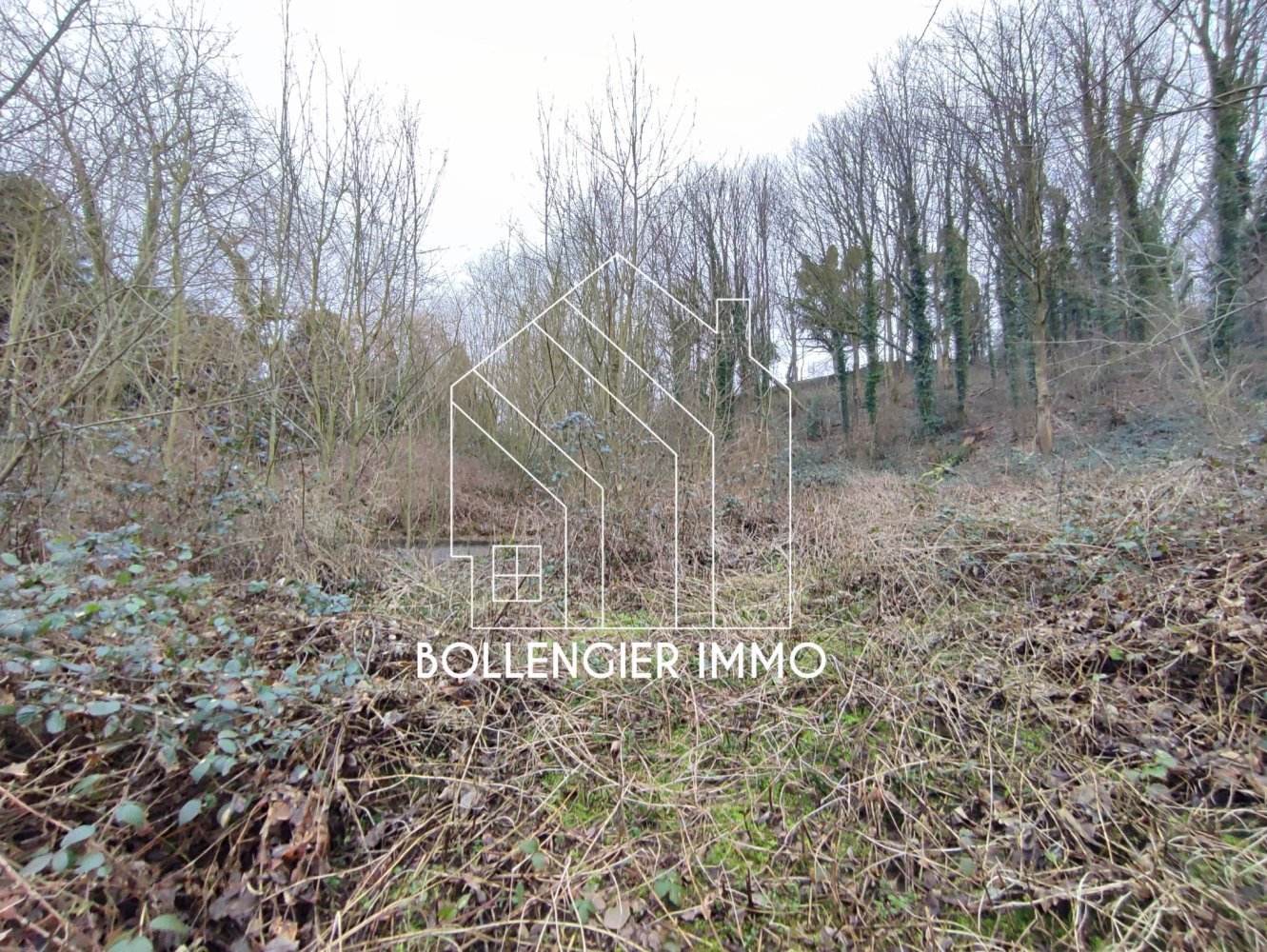 Grundstück in Cassel, France, Nr. 71366