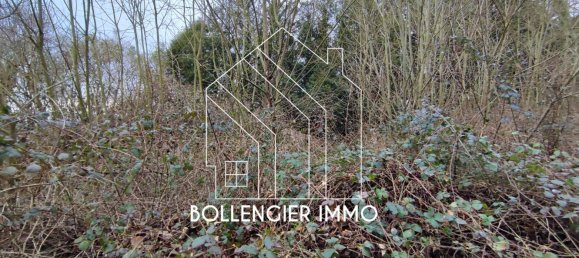 Grundstück in Cassel, France, Nr. 71366 4