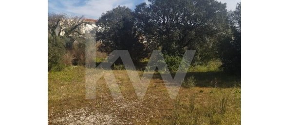  Land in Fatima, Portugal No. 146415 5