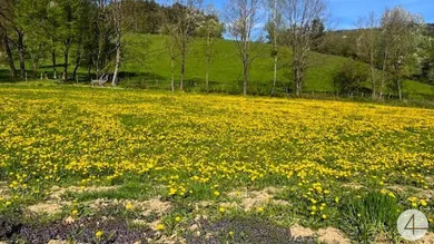  قطعة أرض في Randegg, Austria رقم 162772