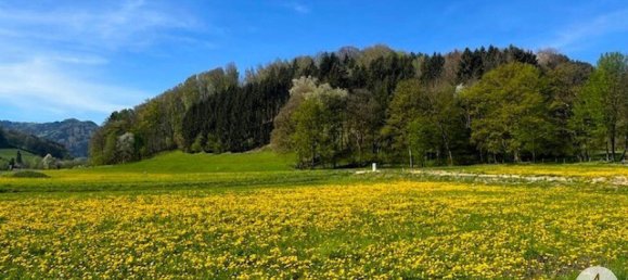  قطعة أرض في Randegg, Austria رقم 162772 2