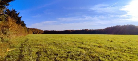 4 bedrooms House in Preuilly-sur-Claise, France No. 154744 16