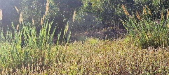 Grundstück in Torres Vedras, Portugal, Nr. 70028 9