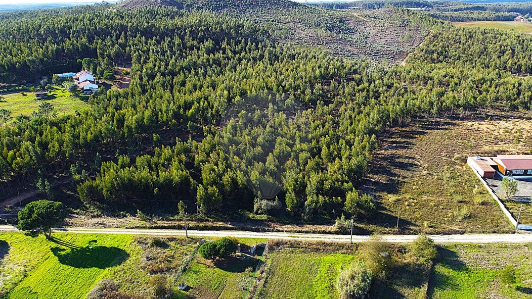 Grundstück in Torres Vedras, Portugal, Nr. 70028