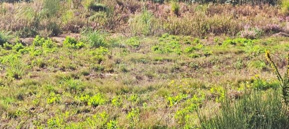 Grundstück in Torres Vedras, Portugal, Nr. 70028 6