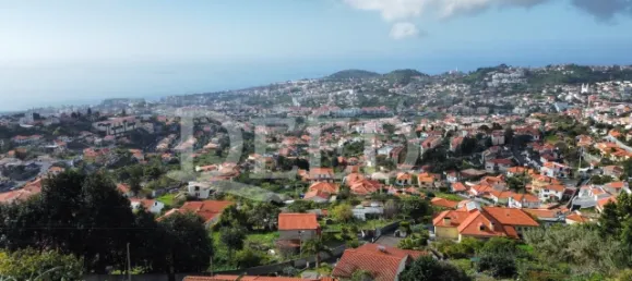  Land in Funchal, Portugal No. 77590 4