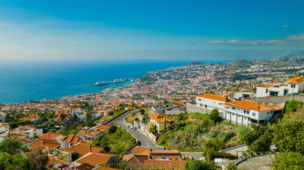 4 غرف نوم قطعة أرض في Funchal, Portugal رقم 219155