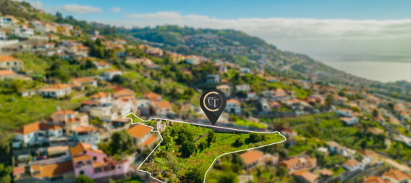 4 Schlafzimmer Grundstück in Funchal, Portugal, Nr. 219155 3