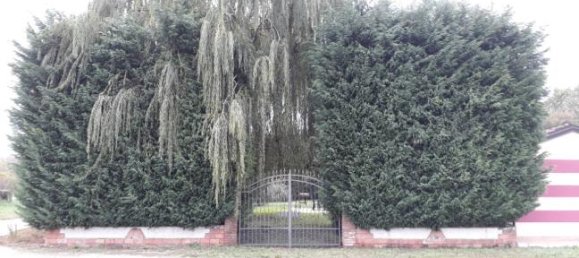 5-Zimmer Haus in Porto Mantovano, Italy, Nr. 253047 7