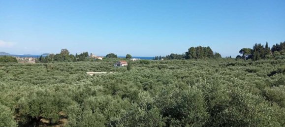 Hotel em Zakynthos, Greece N.º 540 13