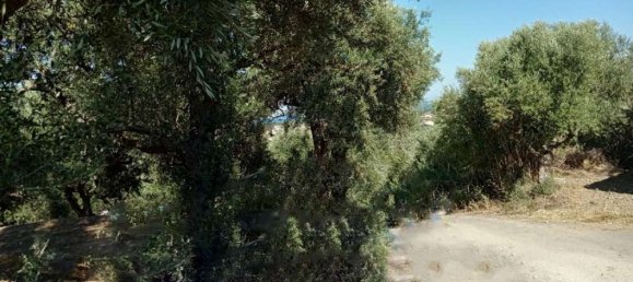 Hotel em Zakynthos, Greece N.º 540 11